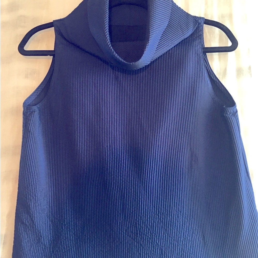 Beginning Boutique Silk sleeveless Blue Cowl Neck Crop Top. Great fit and colour